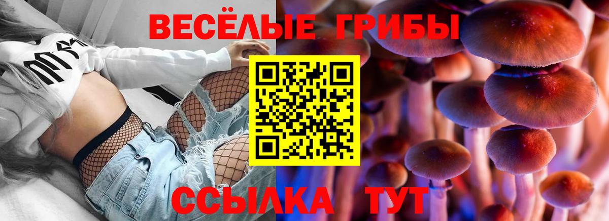 Галлюциногенные грибы Cubensis Избербаш