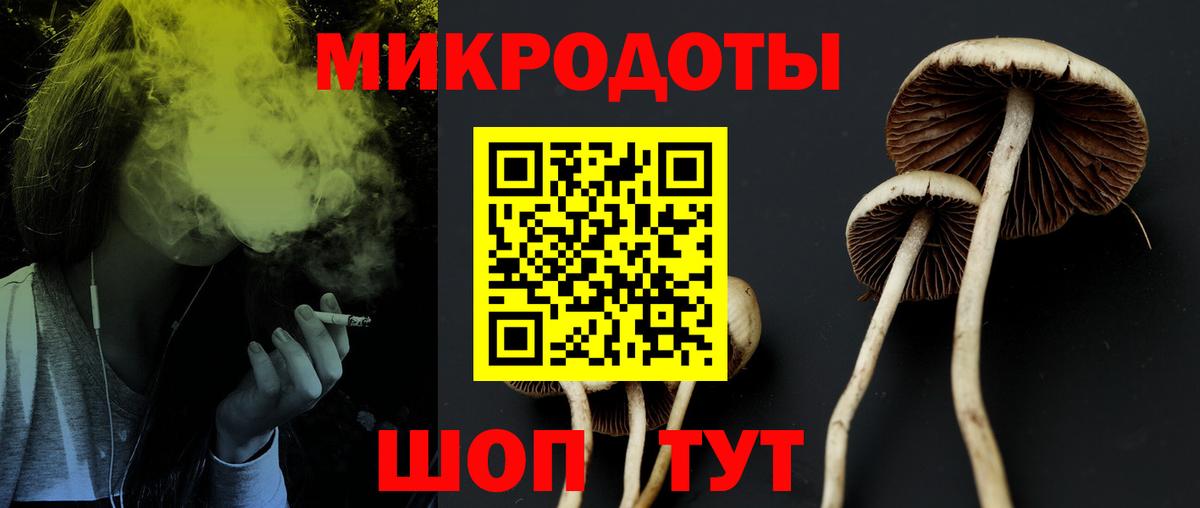 Галлюциногенные грибы GOLDEN TEACHER  Псилоцибиновые грибы GOLDEN TEACHER  Вход с VPN  Избербаш 